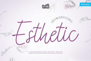 Esthetic Font: A Romantic Handwritten Script for Crafting and Creative Projects