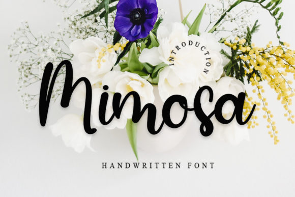 Mimosa: A Handwritten Font That Balances Refinement and Approachability