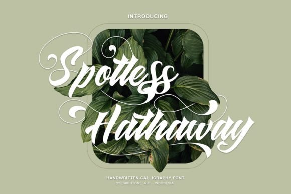 Spotless Hathaway: A Handwritten Font with Timeless Grace